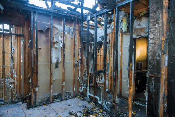 Professional Fire Damage Removal technician working in Polk City, FL